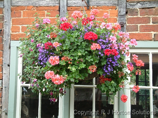 Hanging basket Lacock_2